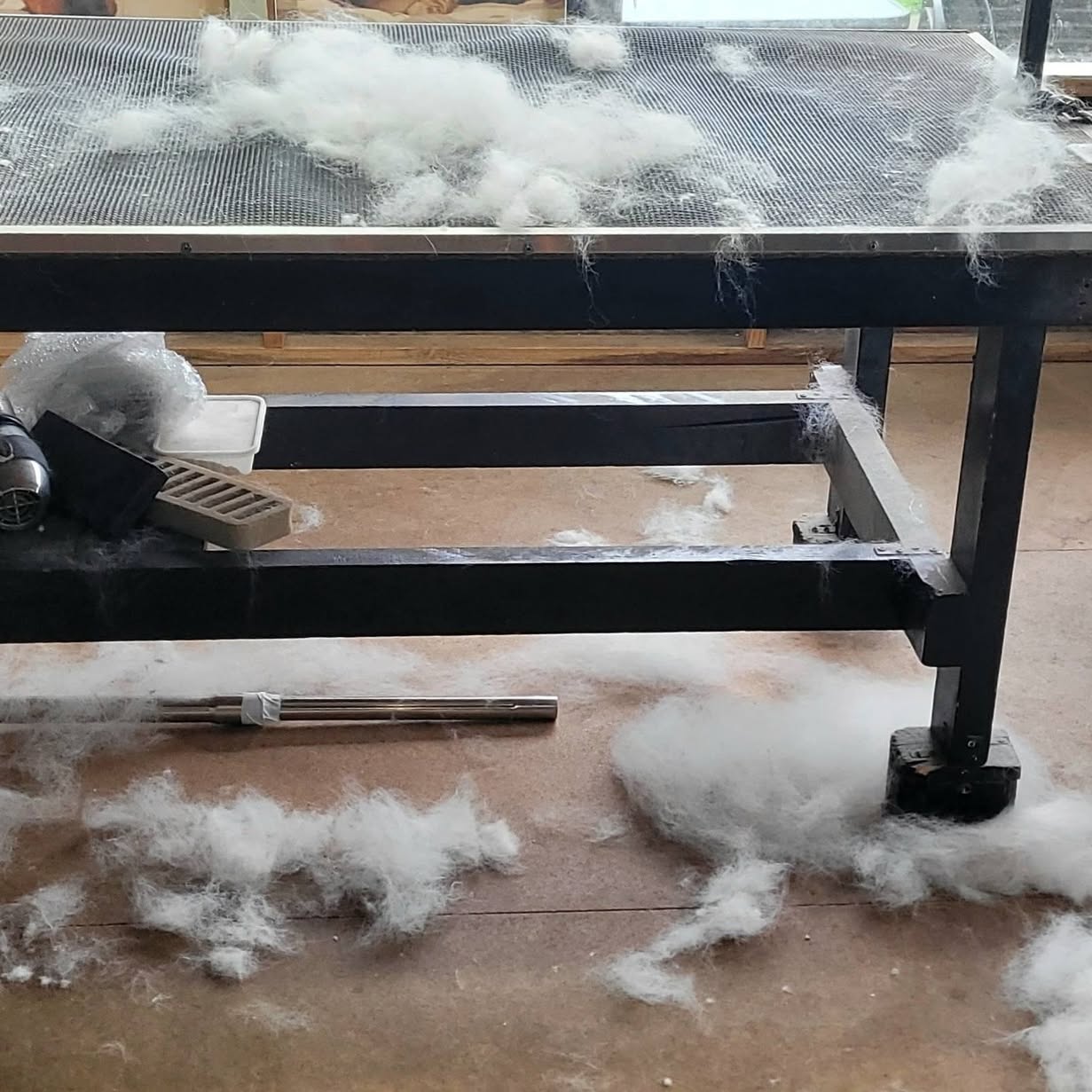 Piles of deshedded fur around the grooming table after Rider’s groom