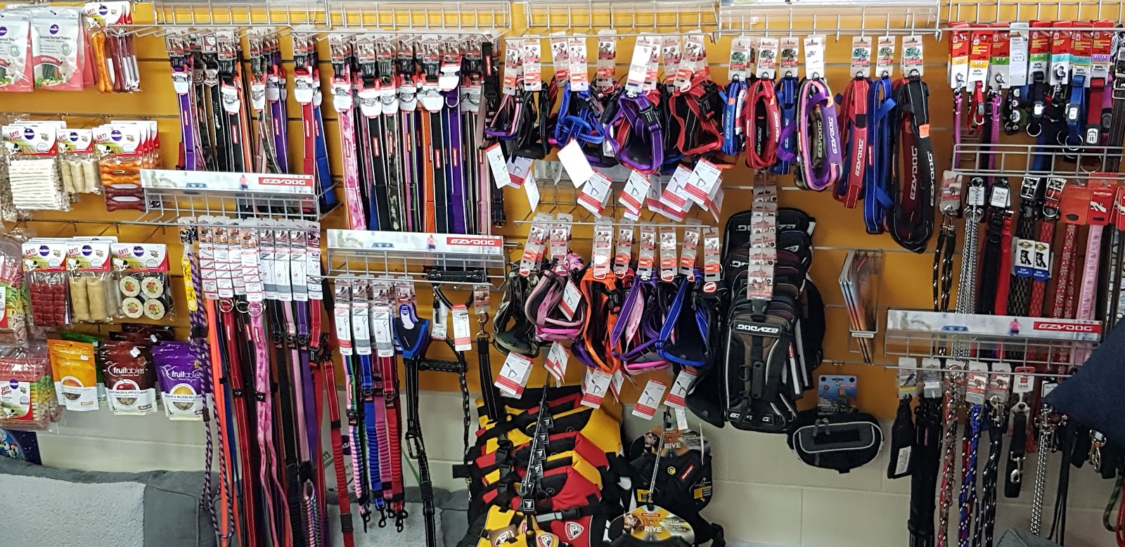 A wall of leads, collars and harnesses